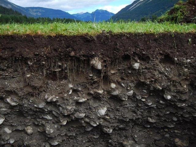 Заказать Грунт в интернет магазине Тасымал