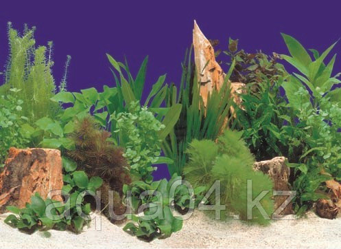 Фон тонкий односторонний (9066/30 см)