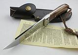 Нож туристический коллекционный Browning Whitetail Legacy, фото 3