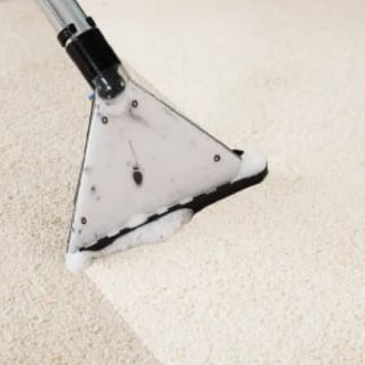 Домашняя чистка ковров, фото 1