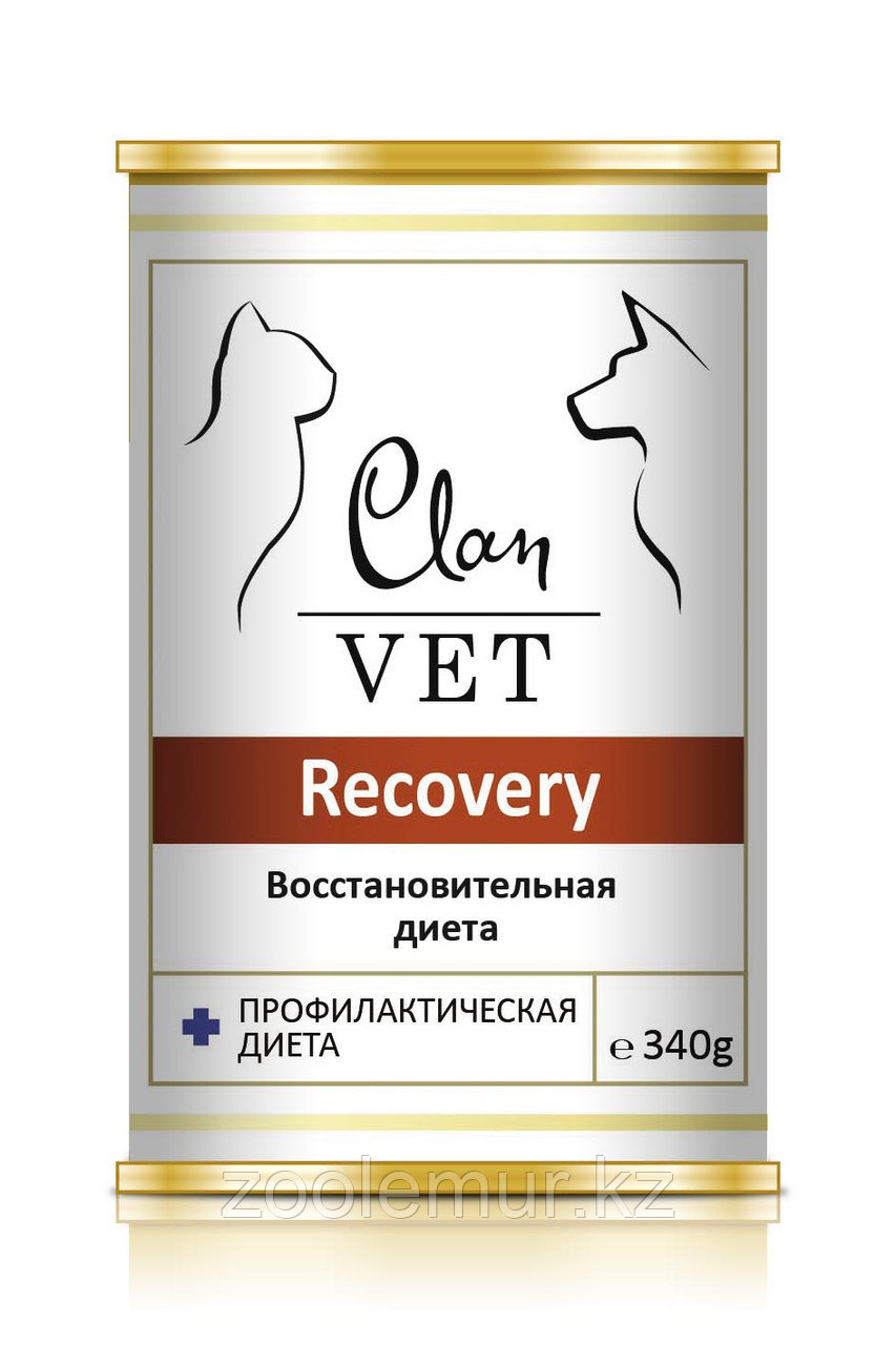 CLAN VET RECOVERY диет консервы для собак и кошек Восстановительная диета 340г - фото 1 - id-p65362046