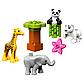 Lego Duplo 10904 Детишки животных, Лего Дупло, фото 2