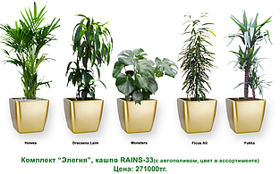 Экспресс - озеленение, комплект «Элегия»