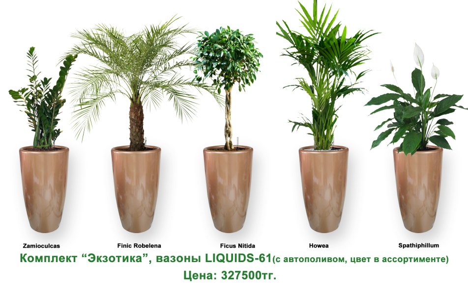 Экспресс - озеленение, комплект «Экзотика», фото 1