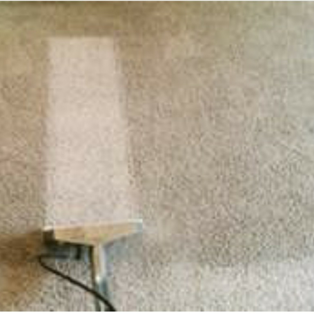 Чистка коврового покрытия - фото 1 - id-p55297514