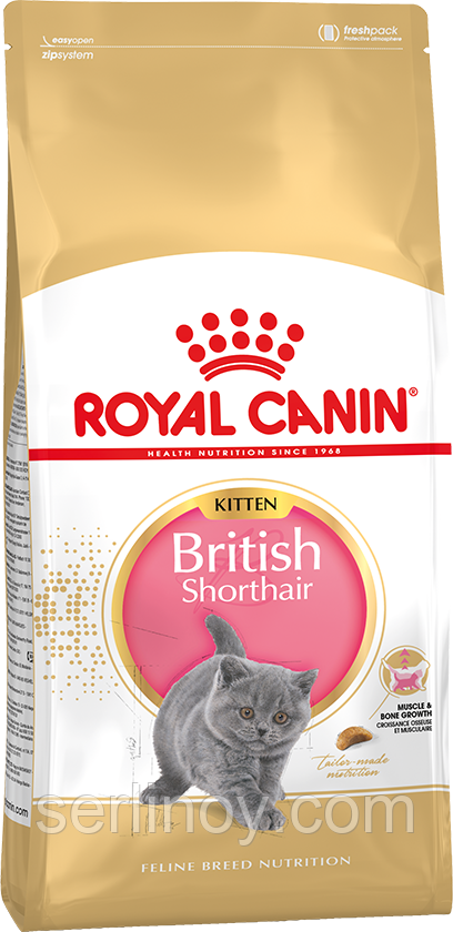 Royal Canin British Shorthair Kitten сухой корм для котят британской короткошерстной от 4 до 12 месяцев