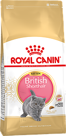 Royal Canin British Shorthair Kitten сухой корм для котят британской короткошерстной от 4 до 12 месяцев