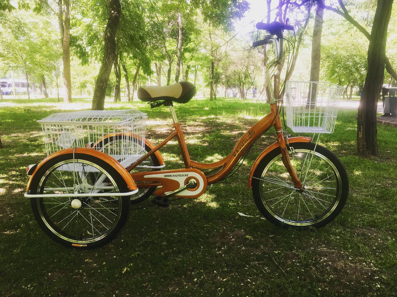 Трехколесный велосипед взрослый складной трицикл трайк Doonkan Trike 24 Синий купить в ibike.ru
