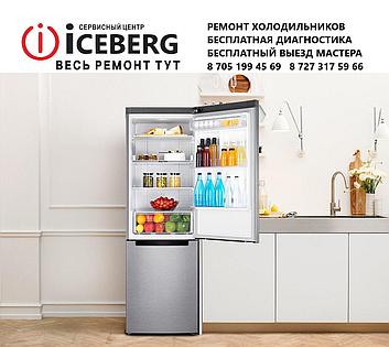 Ремонт холодильника Индезит (Indesit) в Алматы, фото 2