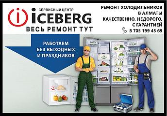 Ремонт холодильника Индезит (Indesit) в Алматы, фото 2