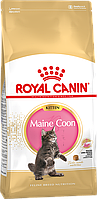 Royal Canin Maine Coon Kitten сухой корм для котят породы мейн-кун до 15 месяцев