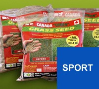 CANADA GREEN SPORT + (спортивная)