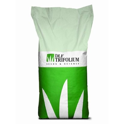 TRIFOLIUM SUN