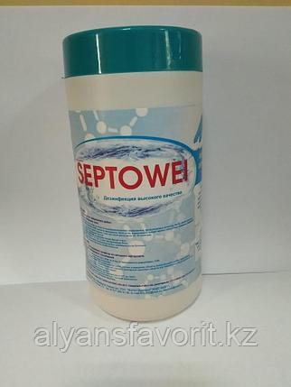 Septowei (Септовей) - дезинфицирующие салфетки 90 шт. в тубе.РК, фото 2