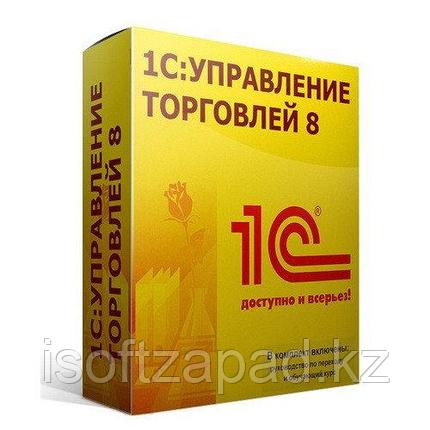 1С:Предприятие 8. Управление торговлей для Казахстана (USB), фото 2