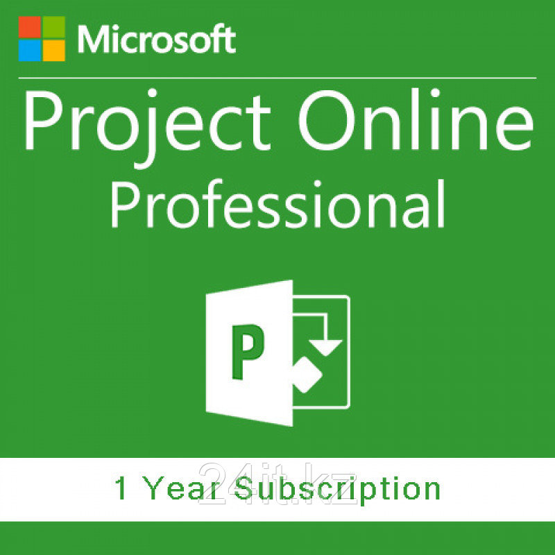 Project Online Professional