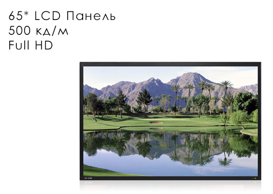 Профессиональная панель 65" ZAX-YJ65LED/Z