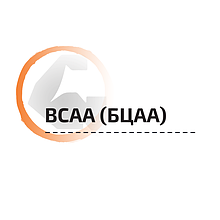 BCAA (БЦАА)