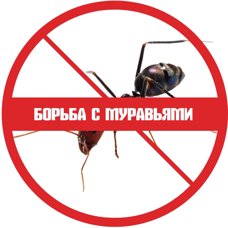 Борьба с муравьями