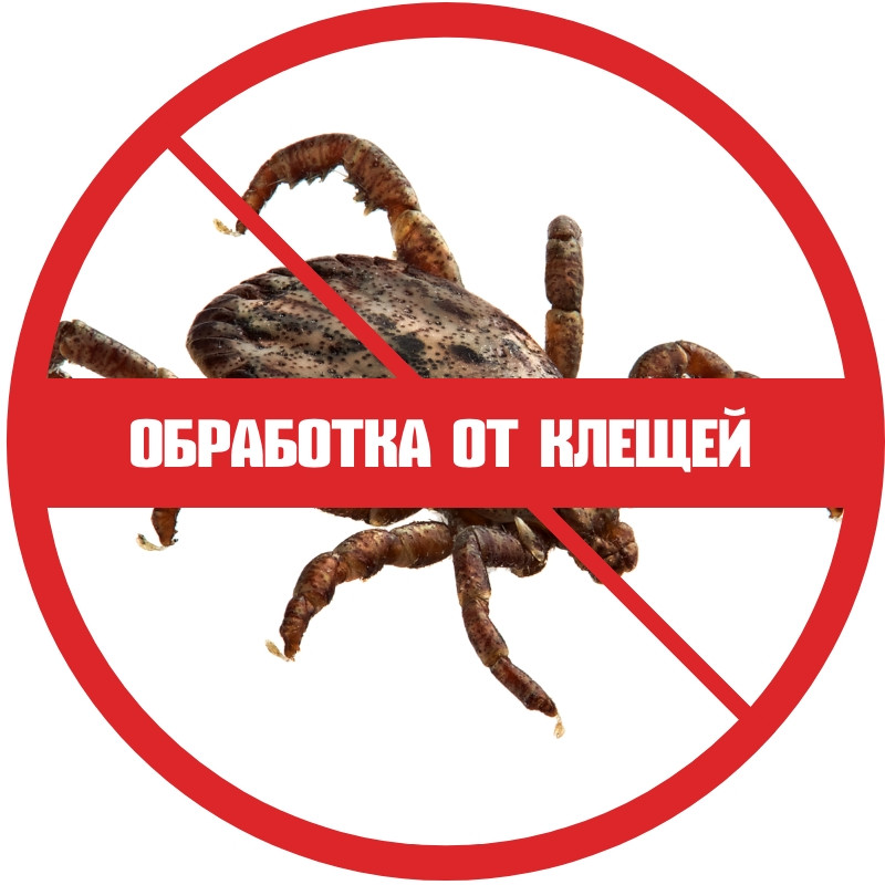 Обработка от клещей