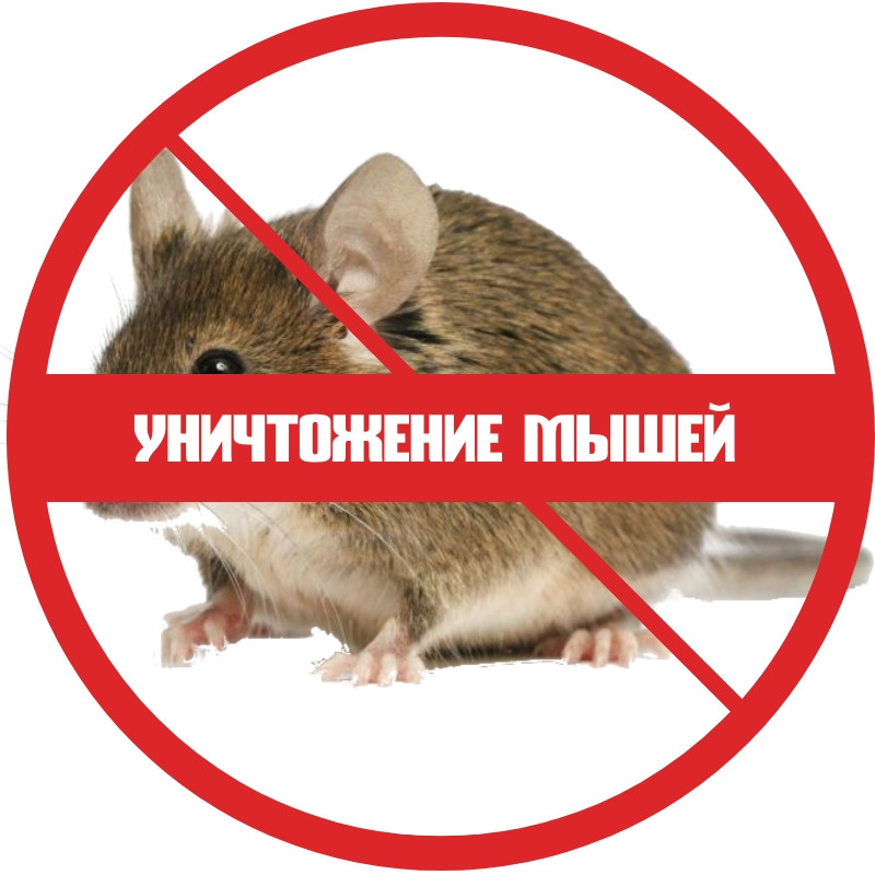 Уничтожение мышей