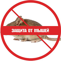 Защита от мышей