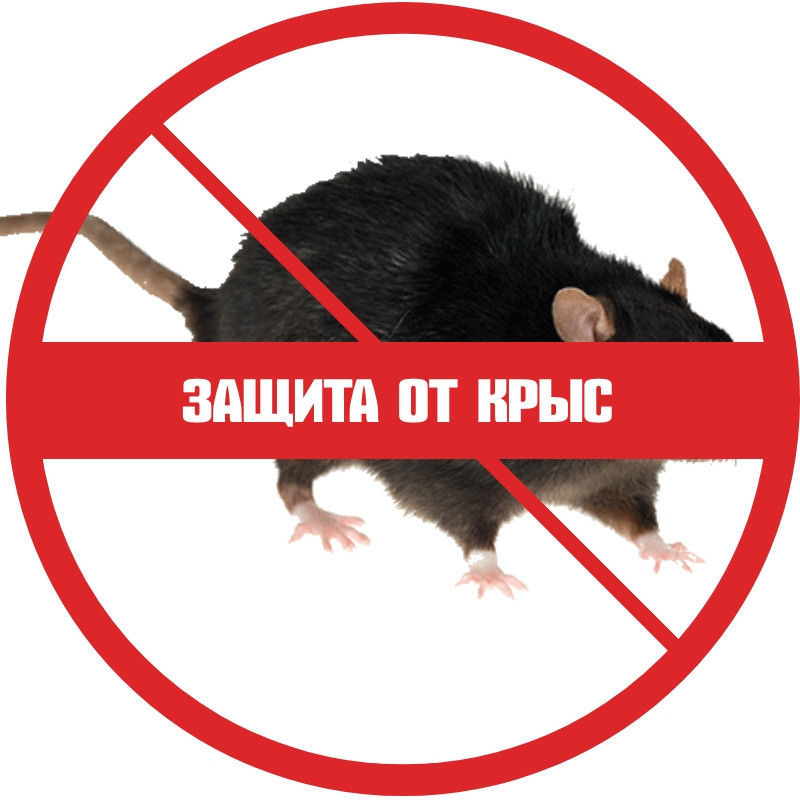 Защита от крыс