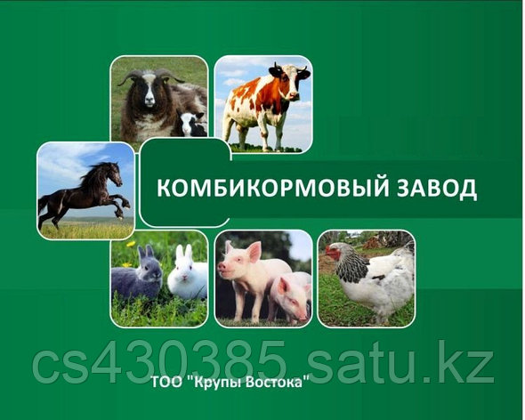 Кормосмесь универсальная (40 кг), фото 1