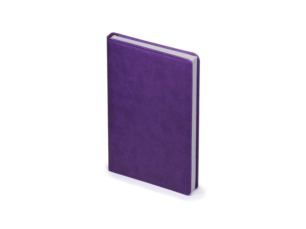 Ежедневник недатированный А5 Velvet, фиолетовый (артикул 3-115.19)