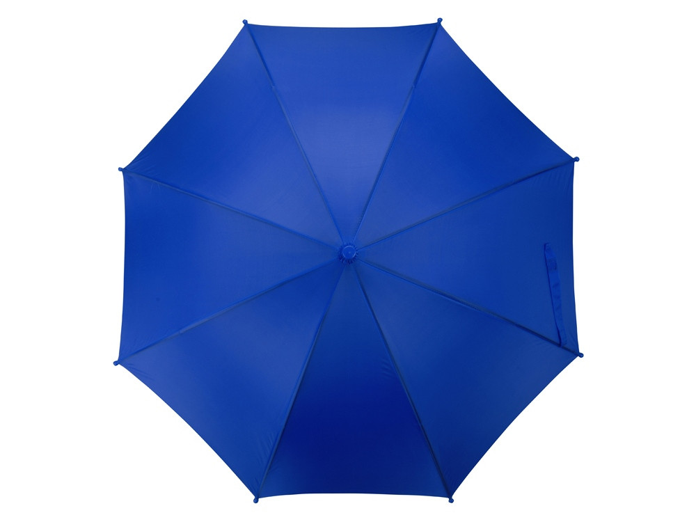 Зонт-трость Edison, полуавтомат, детский, синий (артикул 979092) - фото 4 - id-p65819739