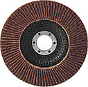 AFD125P40 Диск шлифовальный лепестковый торцевой, 125х22.2 мм, Р40, фото 2
