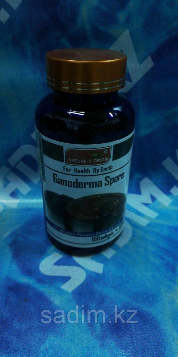 Капсулы Ганодерма - Ganoderma Spore