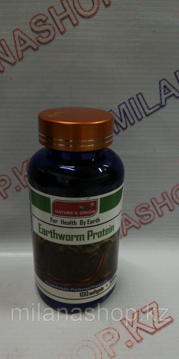 Капсулы Протеин из дождевого червя – очищение сосудов - Eartworn Protein