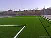 Искусственный газон футбольного поля, фото 2