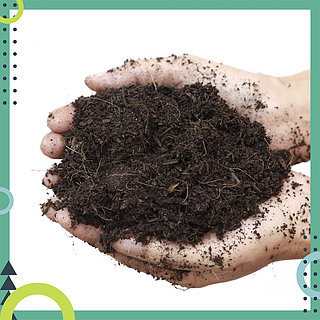 Шұлықтағы порнографиялық тәттілер