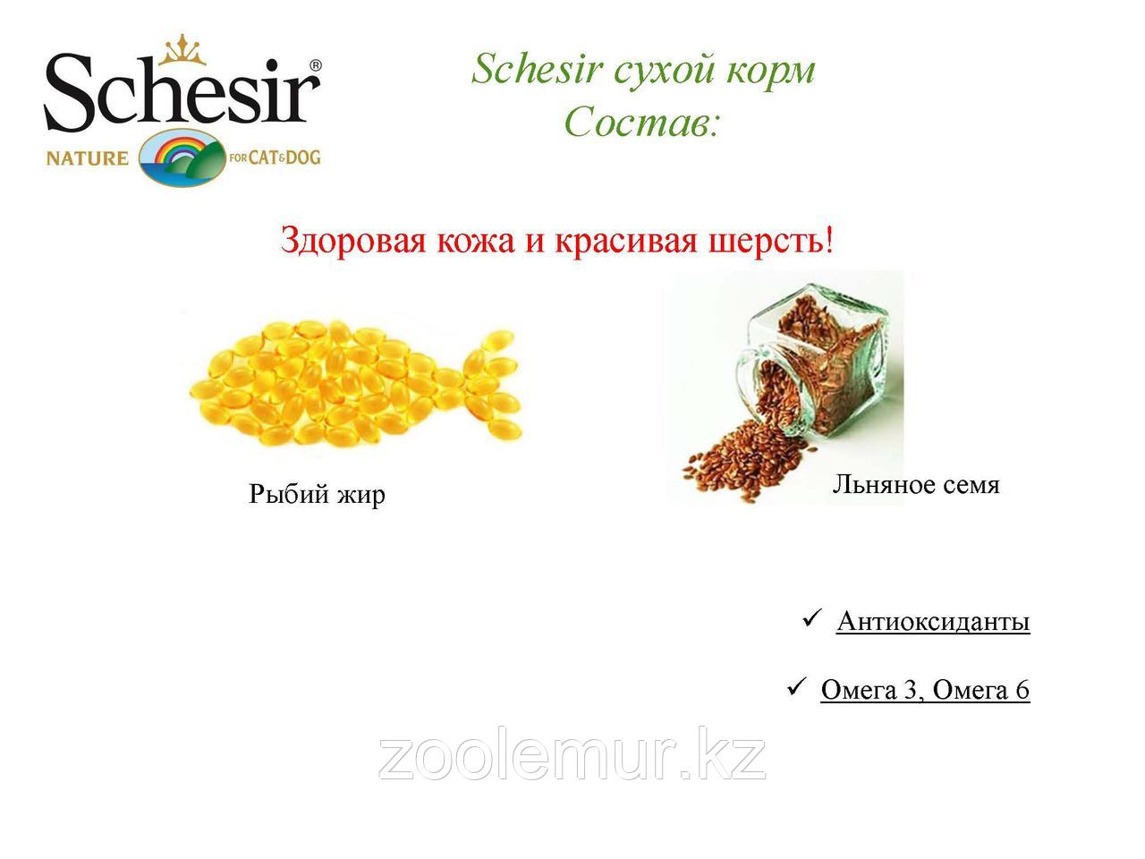 SCHESIR сухой корм 800г для ЩЕНКОВ мелких пород с Курицей - фото 8 - id-p56591718