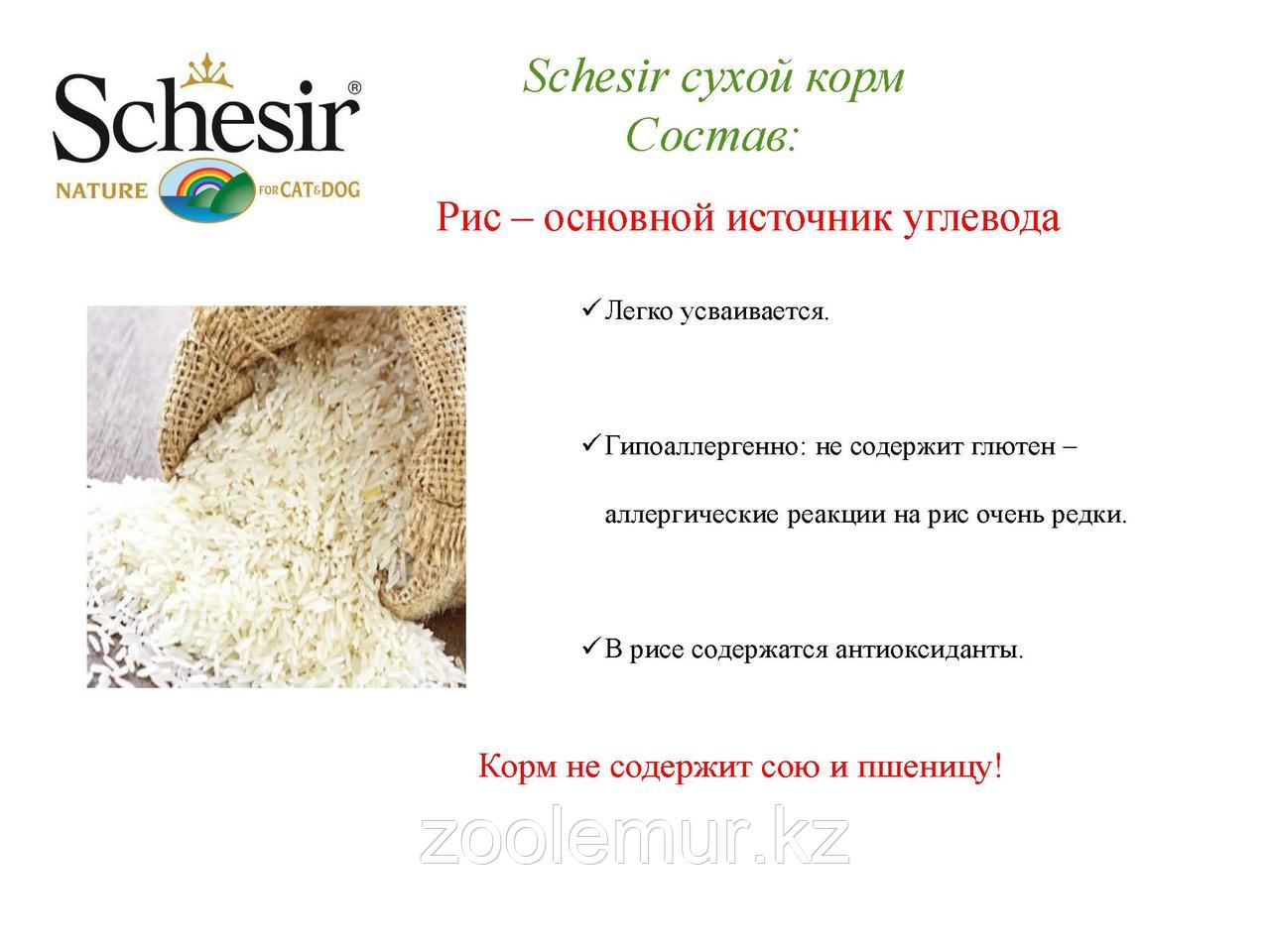 SCHESIR сухой корм 2 кг для ЩЕНКОВ мелких пород с Курицей - фото 7 - id-p56591719