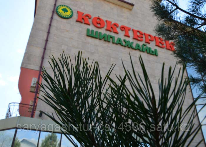 Сарыагаш санаторий "Коктерек"