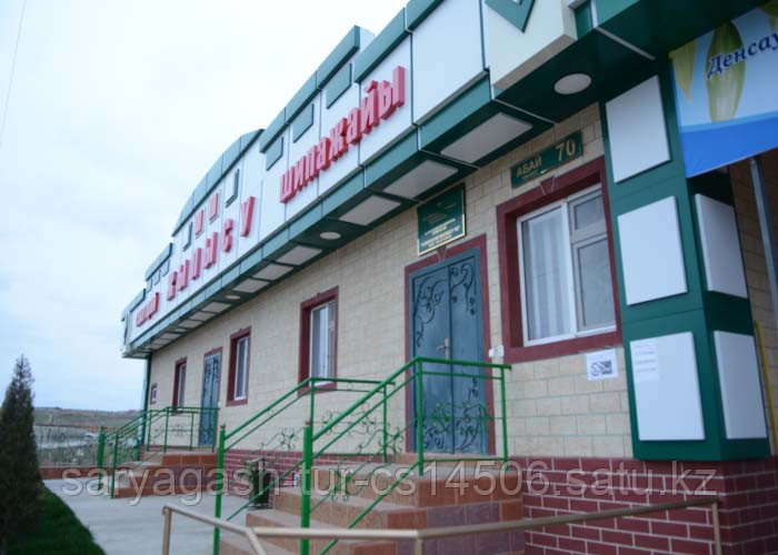 Сарыагаш Жылысу NS