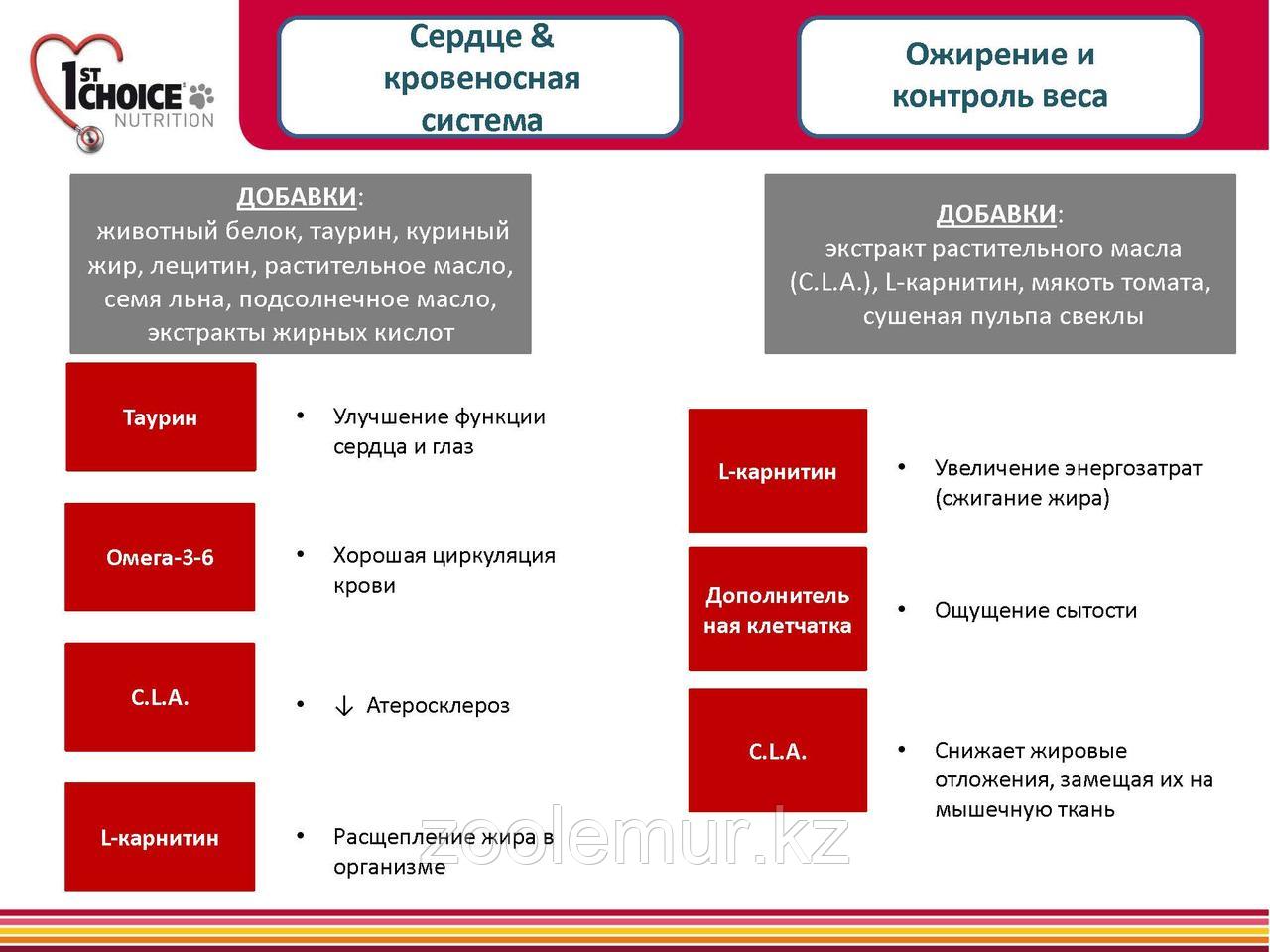 1st Choice «Здоровый старт» для котят от 2 до 12 месяцев, на основе курицы 350 гр. - фото 6 - id-p56591504