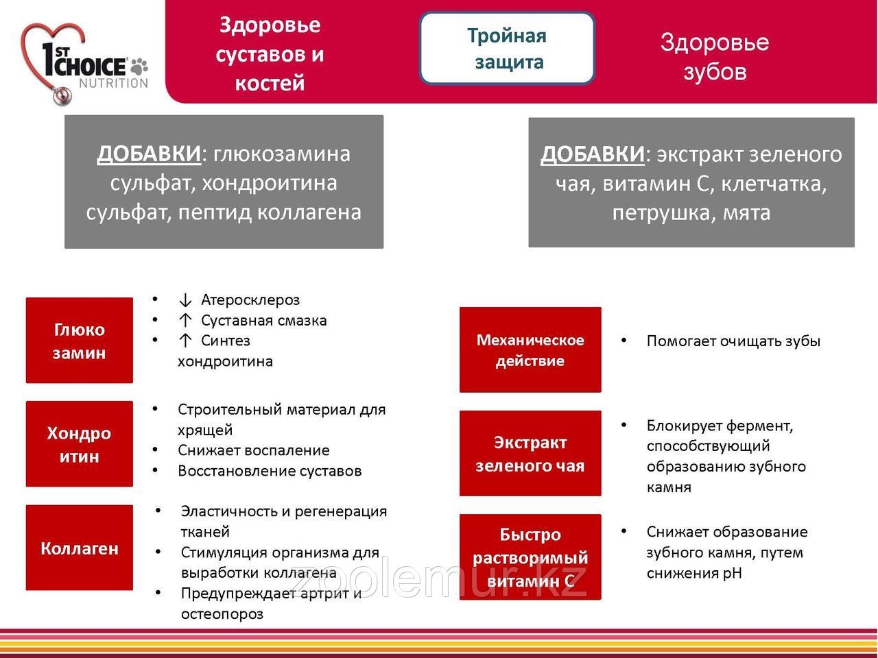 1st Choice «Здоровый старт» для котят от 2 до 12 месяцев, на основе курицы 907 гр. - фото 4 - id-p56591596