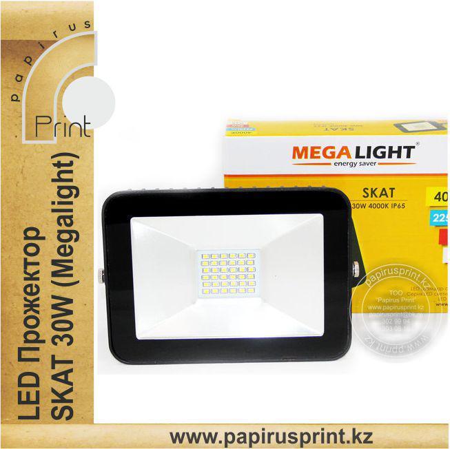 Светодиодный прожектор 30W LED софит Skat Megilight