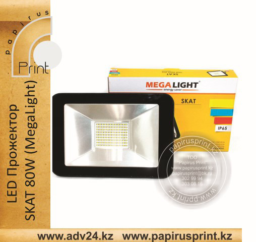 LED Прожектор SKAT 80W (MegaLight)