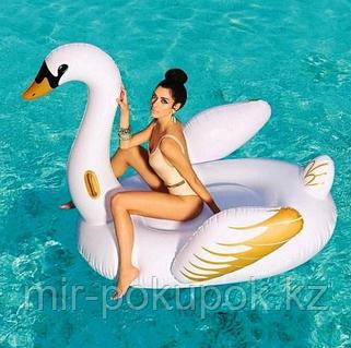 Бір топ адам жас балапанды сипайды