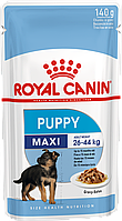 Влажный корм для щенков крупных пород от 2-х до 15 месяцев Royal Canin Maxi Puppy RC0049/1 10*140 гр Влажный корм для щенков крупных пород от 2-х до 15 месяцев Royal Canin Maxi Puppy