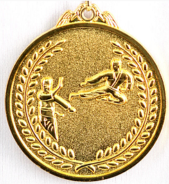 Награды по каратэ