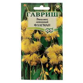 Семена комнатных цветов Эвкалипт лимонный "Флагман", Мн, 0,05 г