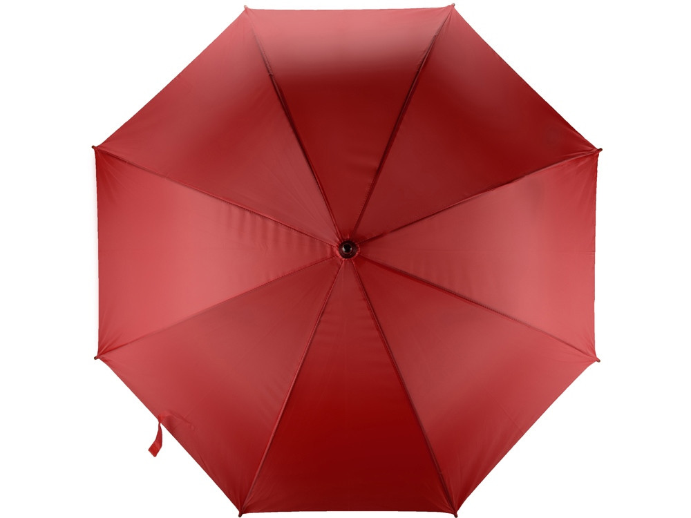 Зонт-трость полуавтоматический с деревянной ручкой - фото 8 - id-p60491429