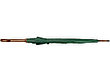 Зонт-трость Радуга, зеленый, фото 3
