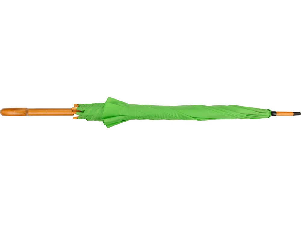 Зонт-трость Радуга, зеленое яблоко - фото 7 - id-p55506818